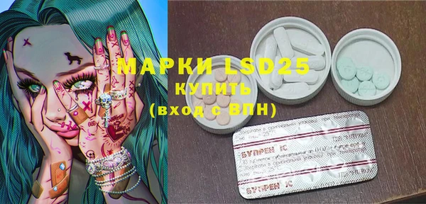 PSILOCYBIN Алзамай