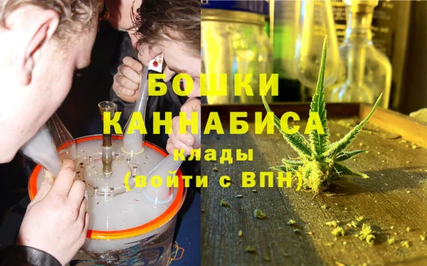 PSILOCYBIN Алзамай