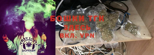 PSILOCYBIN Алзамай