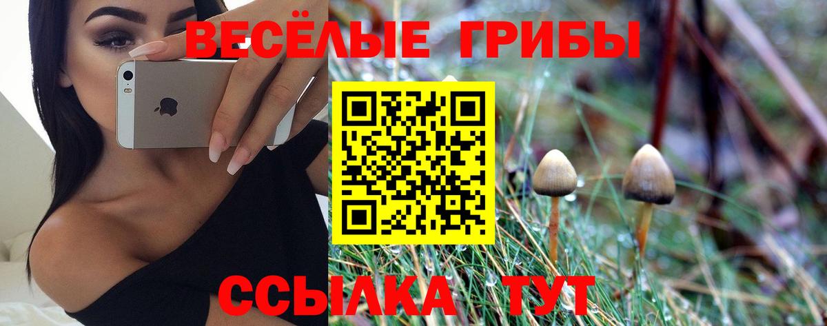Псилоцибиновые грибы мухоморы  Вход с VPN  где купить наркотик  Невинномысск 