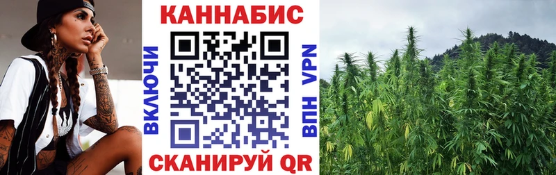 купить   Невинномысск  МАРИХУАНА ГИДРОПОН 